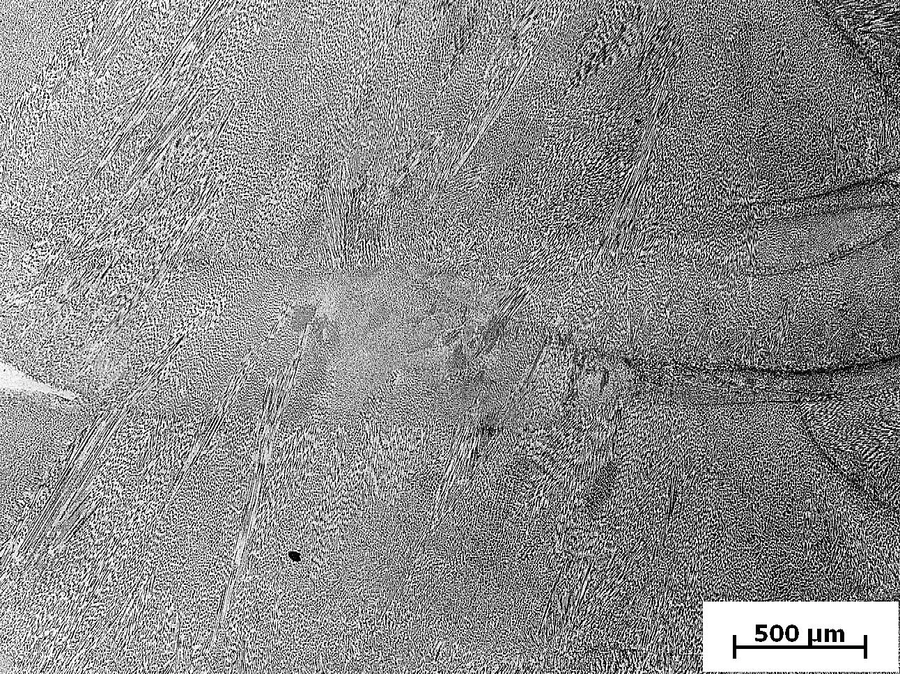 Optical micrograph of the directional microstructure in DED-W 316L stainless steel
